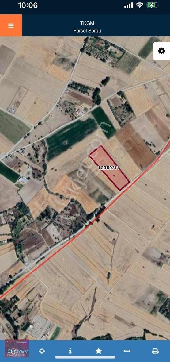 Küçük Bürüngüzde Yol Cepheli Tarla
