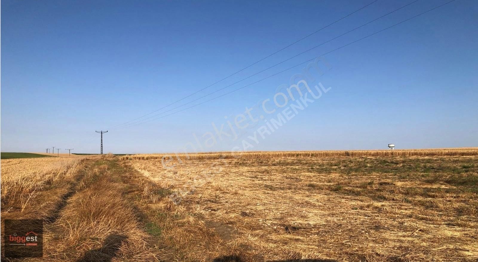 Muratlı Yurtbekler De Asfalta Yakın Fırsat Tarla