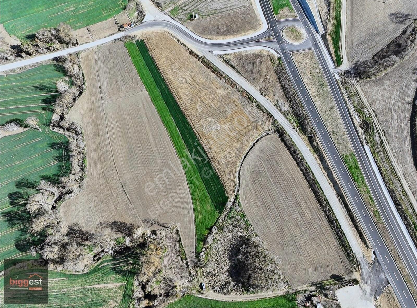 Tekirdağ Banarlı Da Ana Yol Kenarı Fırsat Tarla