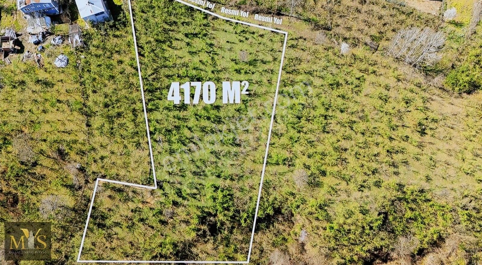 Mys İnşaat Emlak'tan 4171 M2 Fındık Bahçesi - Görsel 2