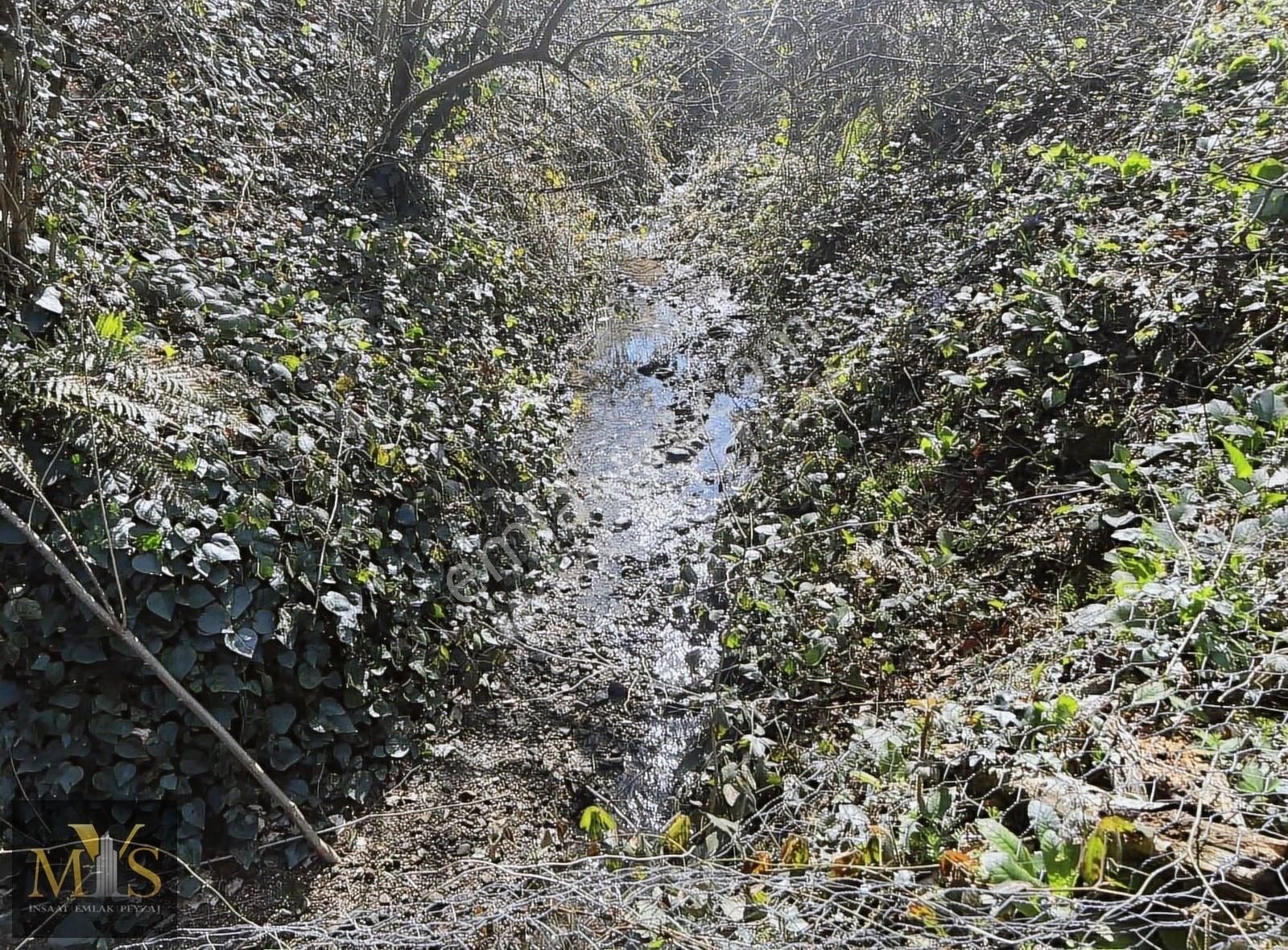 Mys İnşaat Emlak'tan 4171 M2 Fındık Bahçesi - Görsel 9