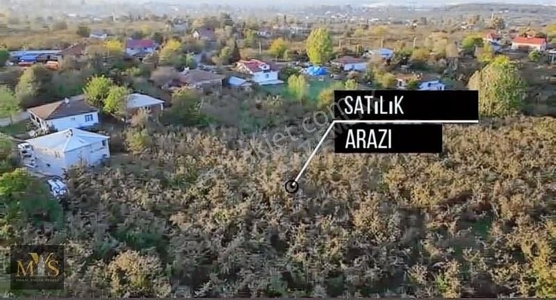 Mys İnşaat Emlak'tan 4171 M2 Fındık Bahçesi - Görsel 12