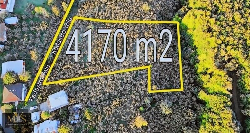 Mys İnşaat Emlak'tan 4171 M2 Fındık Bahçesi - Görsel 11