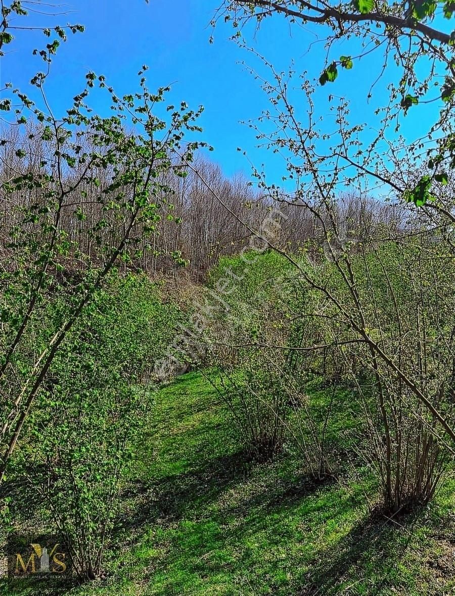 Mys İnşaat Emlak'tan 4171 M2 Fındık Bahçesi - Görsel 25