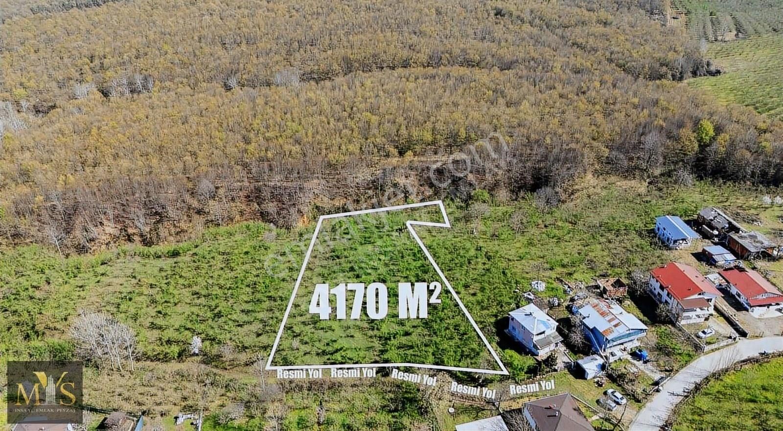 Mys İnşaat Emlak'tan 4171 M2 Fındık Bahçesi - Görsel 23