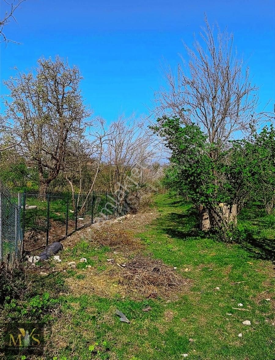 Mys İnşaat Emlak'tan 4171 M2 Fındık Bahçesi - Görsel 19