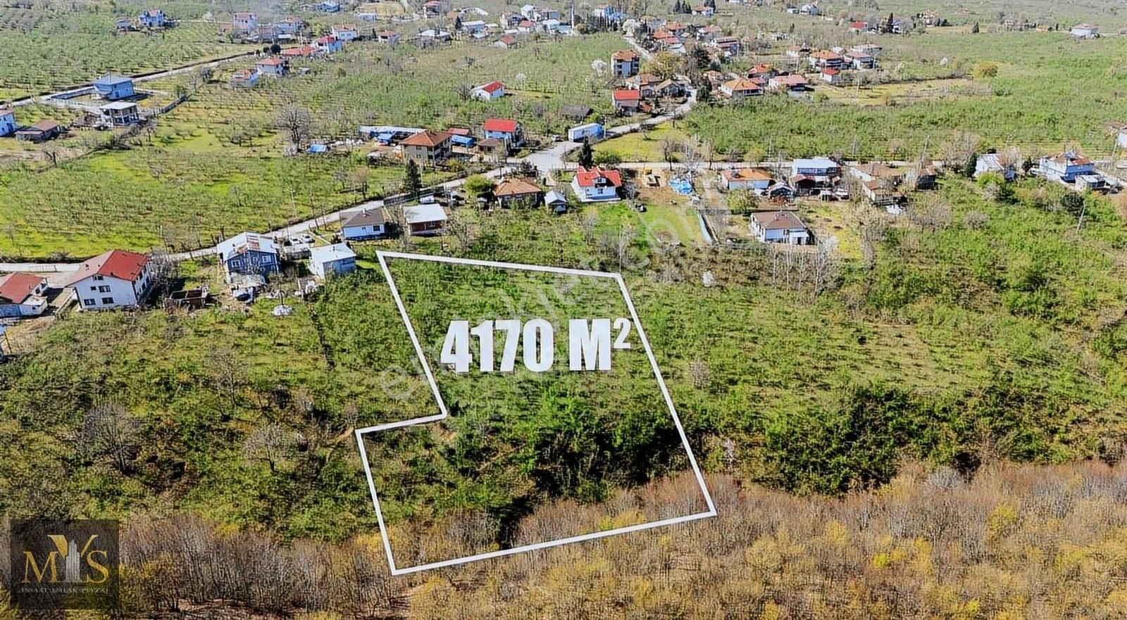 Mys İnşaat Emlak'tan 4171 M2 Fındık Bahçesi - Görsel 3