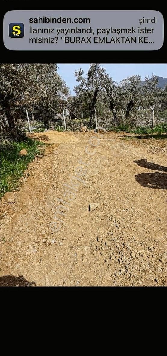 Burax Emlaktan Kemalpaşa Cumalıda 230 M Hisseli Arsa Satılık - Görsel 6