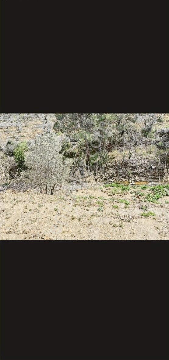 Burax Emlaktan Kemalpaşa Cumalıda 230 M Hisseli Arsa Satılık - Görsel 8