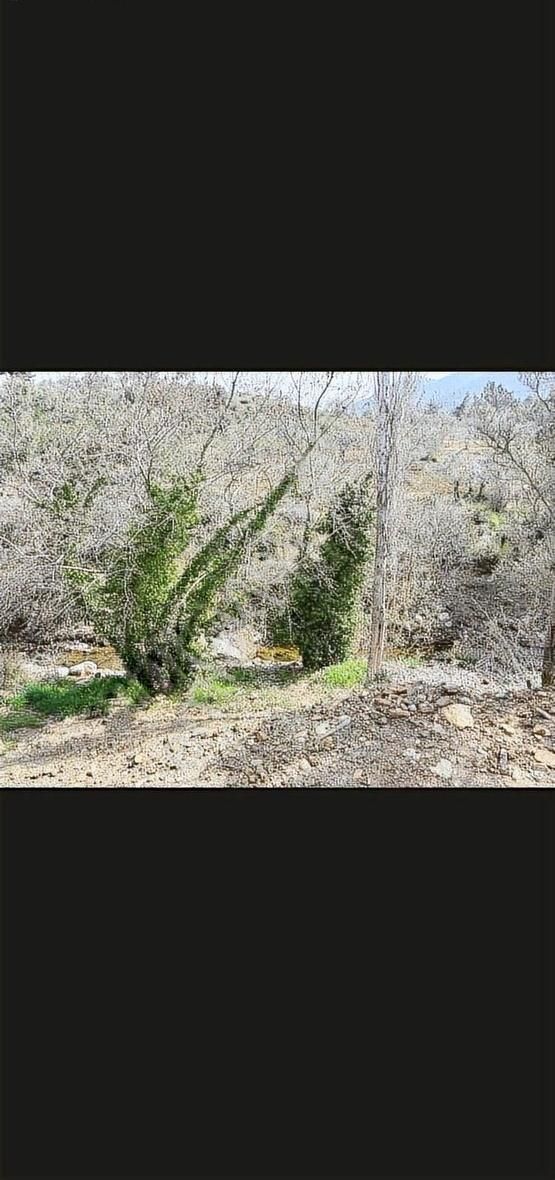 Burax Emlaktan Kemalpaşa Cumalıda 230 M Hisseli Arsa Satılık - Görsel 5