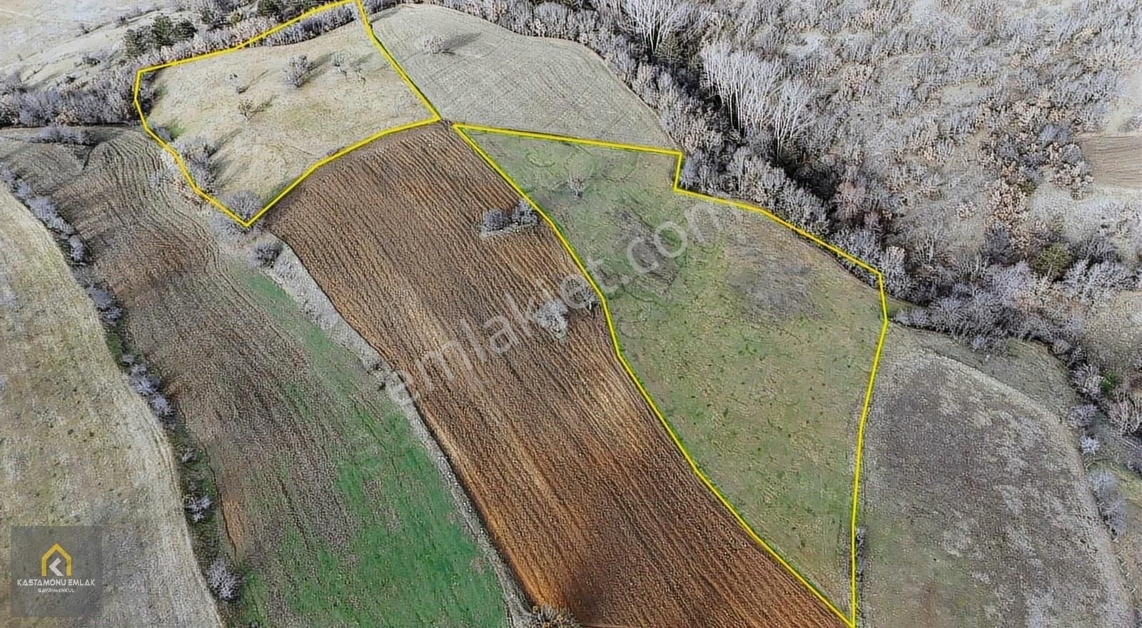 Kastamonu Emlak Gayrimenkul'den Satılık 12.5 Dönüm Tarla