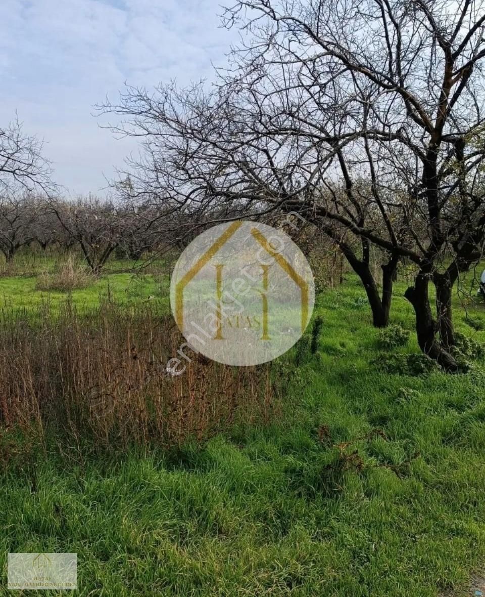 Hataş Gayrimenkul'den Manisa Turgutlu 9.mıntıkada İmara Sıfır - Görsel 2