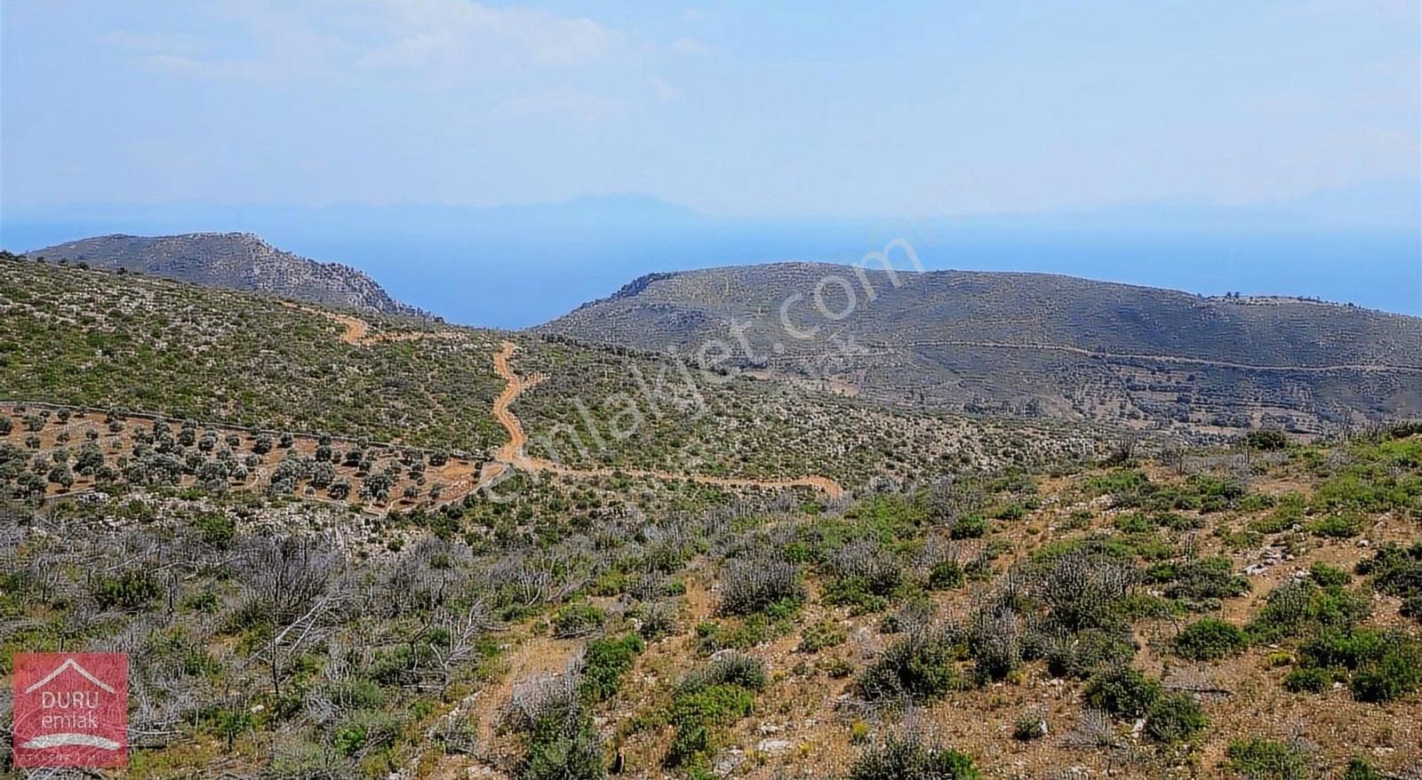 Muğla Bodrum Mazı'da Lebiderya Gökova Körfezi Manzaralı Arazi - Görsel 16