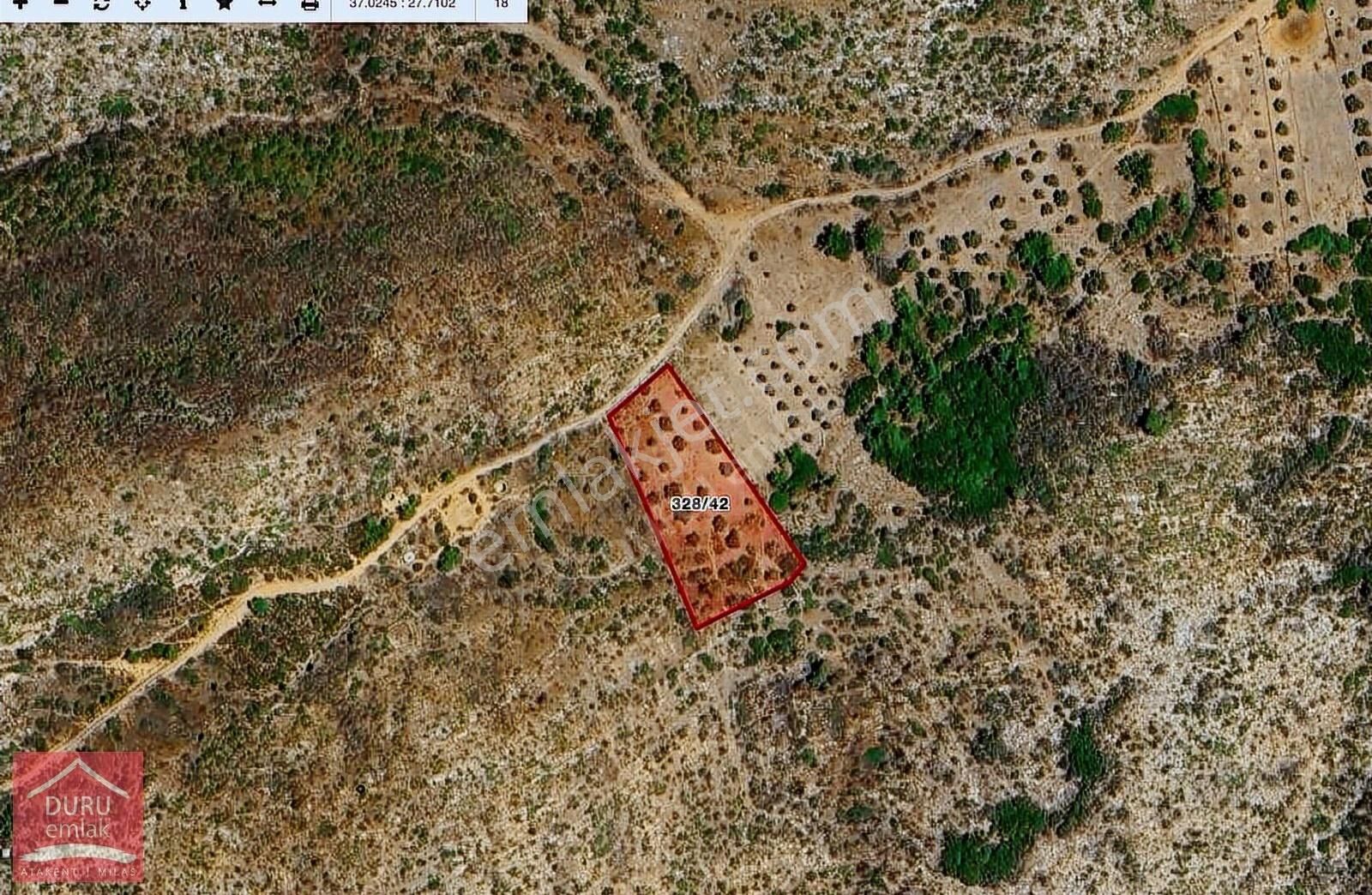 Muğla Bodrum Mazı'da Lebiderya Gökova Körfezi Manzaralı Arazi - Görsel 14
