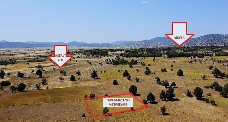 Tavas Nikfer Mahallesinde Uygun Fiyatlı Tarla - Görsel 2