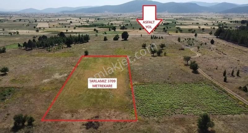 Tavas Nikfer Mahallesinde Uygun Fiyatlı Tarla - Görsel 7