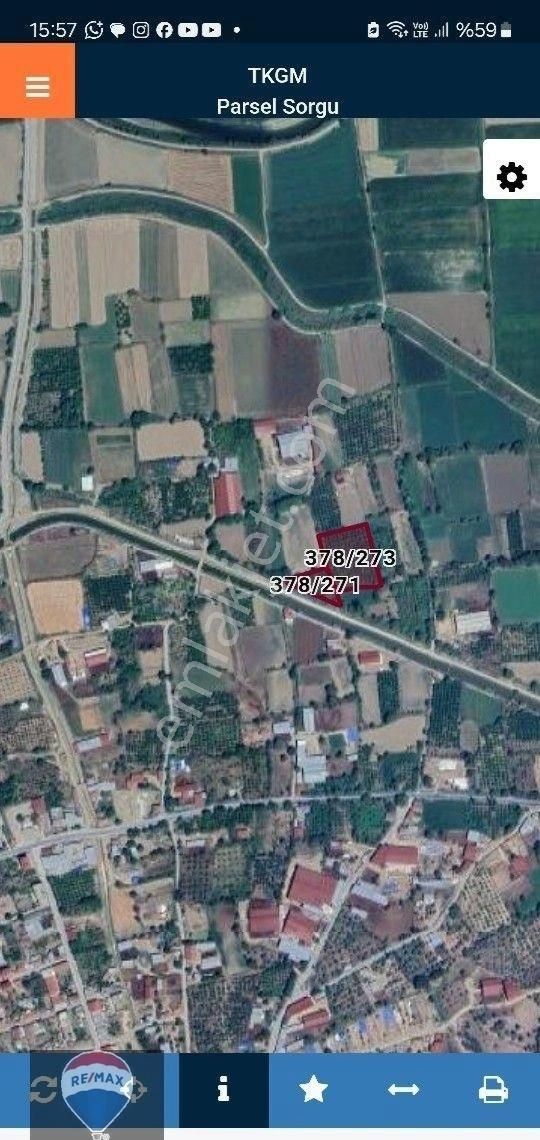 Aydın Yenipazar Donduran Da Portakal Bahçesi - Görsel 5