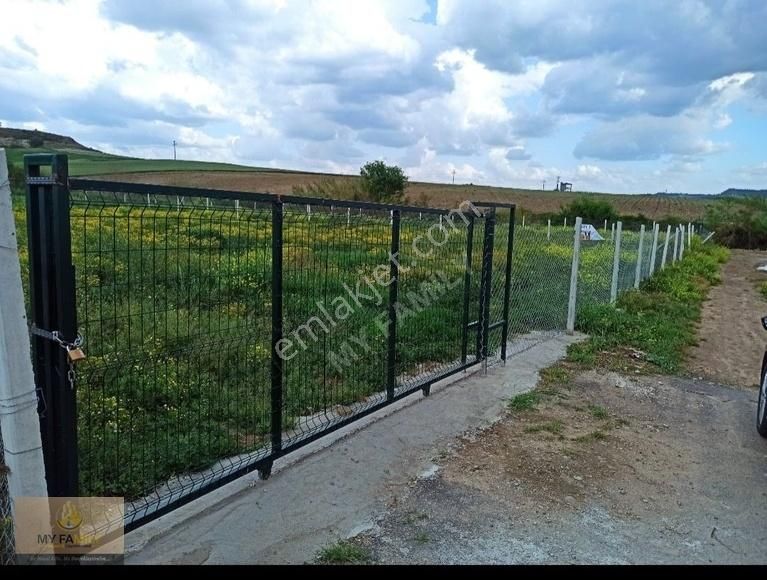 Karaömerli'de Göl Manzaralı Asfalt Kenarı