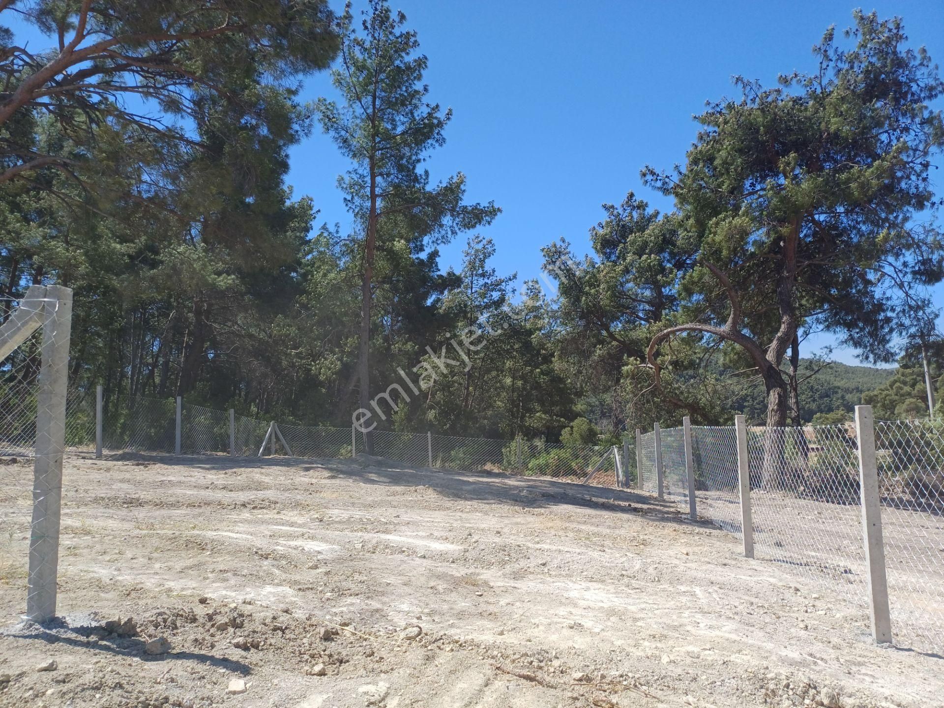 Çatalcada 250 M2 Hisse Tapulu Elektrik Suyu Bağlı Merkeze Yakın Menderes İzmir