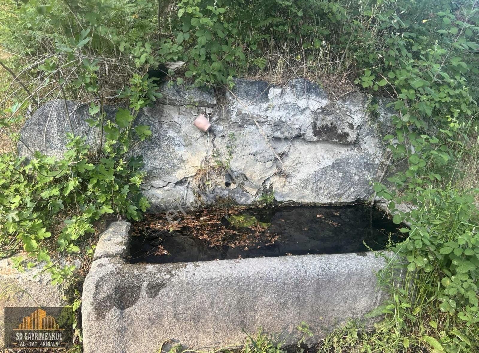 Ayvalıkın Gözdesi Bağyüzünde Yatırımlık Çamlık! - Görsel 13