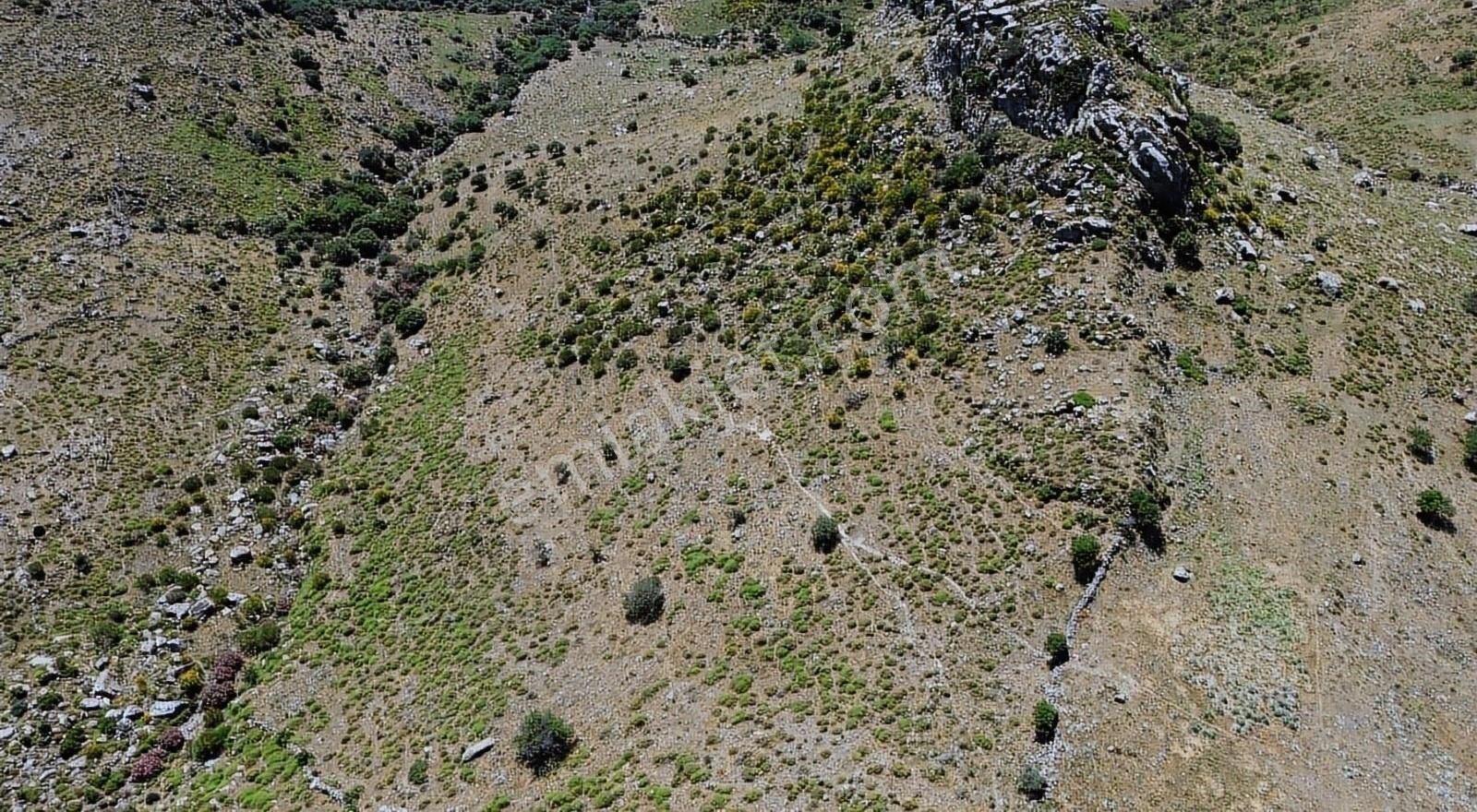 Bodrum Turgutreis Akyarlar'da Deniz Manzaralı Yatırımlık Tarla - Görsel 5