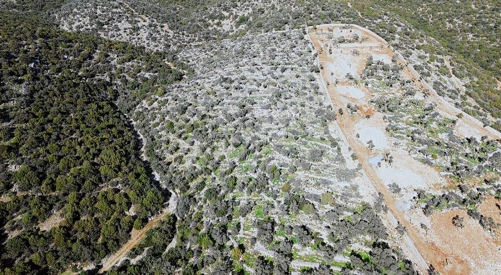 Bodrum'da Yatırımlık Satılık Zeytinlik - Görsel 3