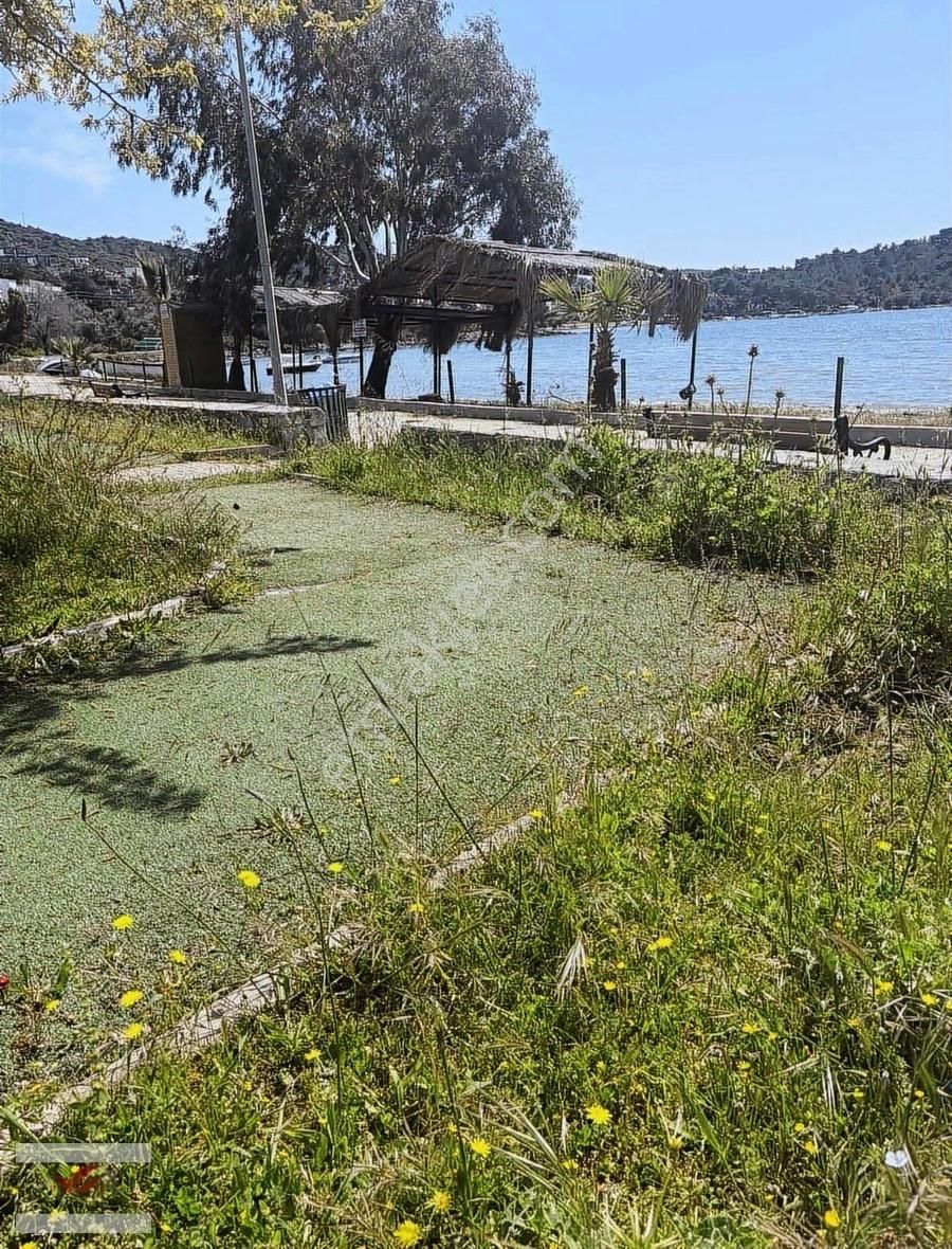 Milas Kıyıkışlacık Pembegül Tatil Sitesinde Dubleks