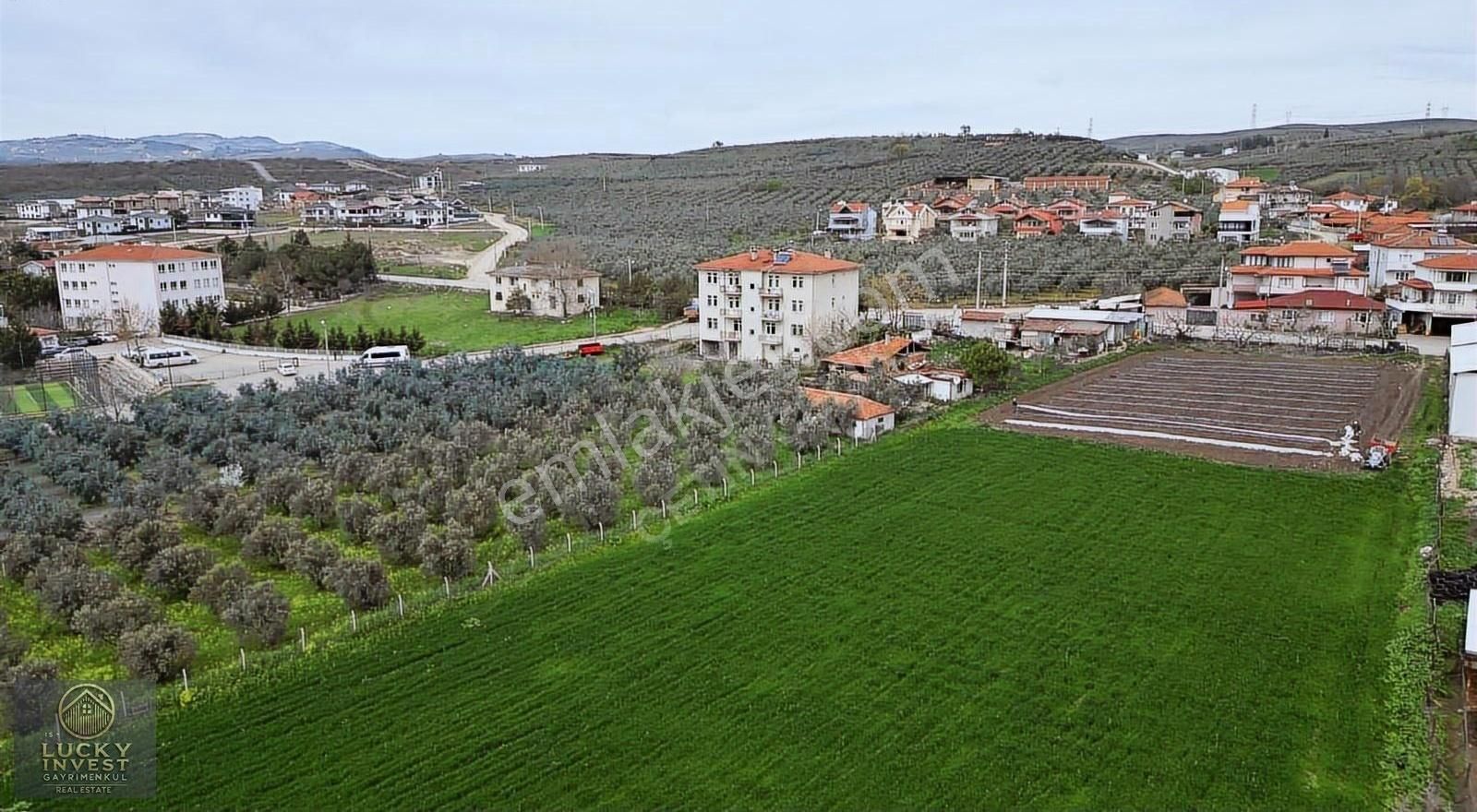 Mudanya Hasköy De Tek Tapu Fırsat Hobi Bahcelik Yer - Görsel 8