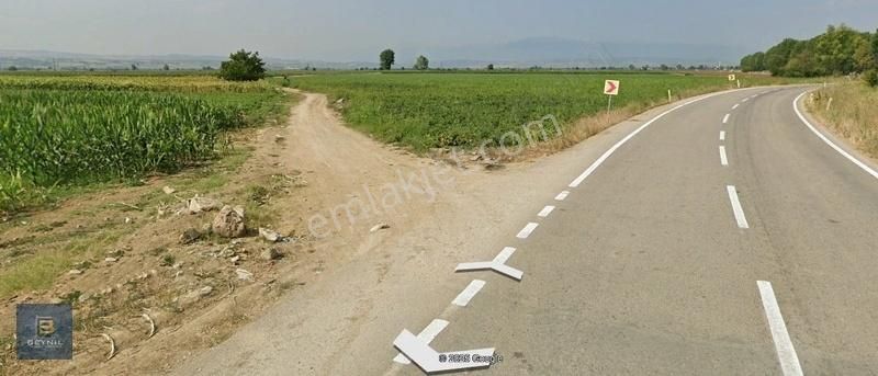 Beynil'den Yenişehir Çayır'da Yola Cephe Satılık Tarla
