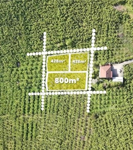 Cumayeri'nin Zirvesinde Şehre Hakim Manzaralı 4 Kat İmarlı Arsa