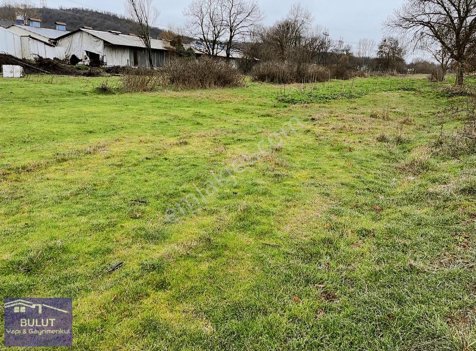 Gebze Cuma Köyde 591 Metre Satılık Arsa : - Görsel 3