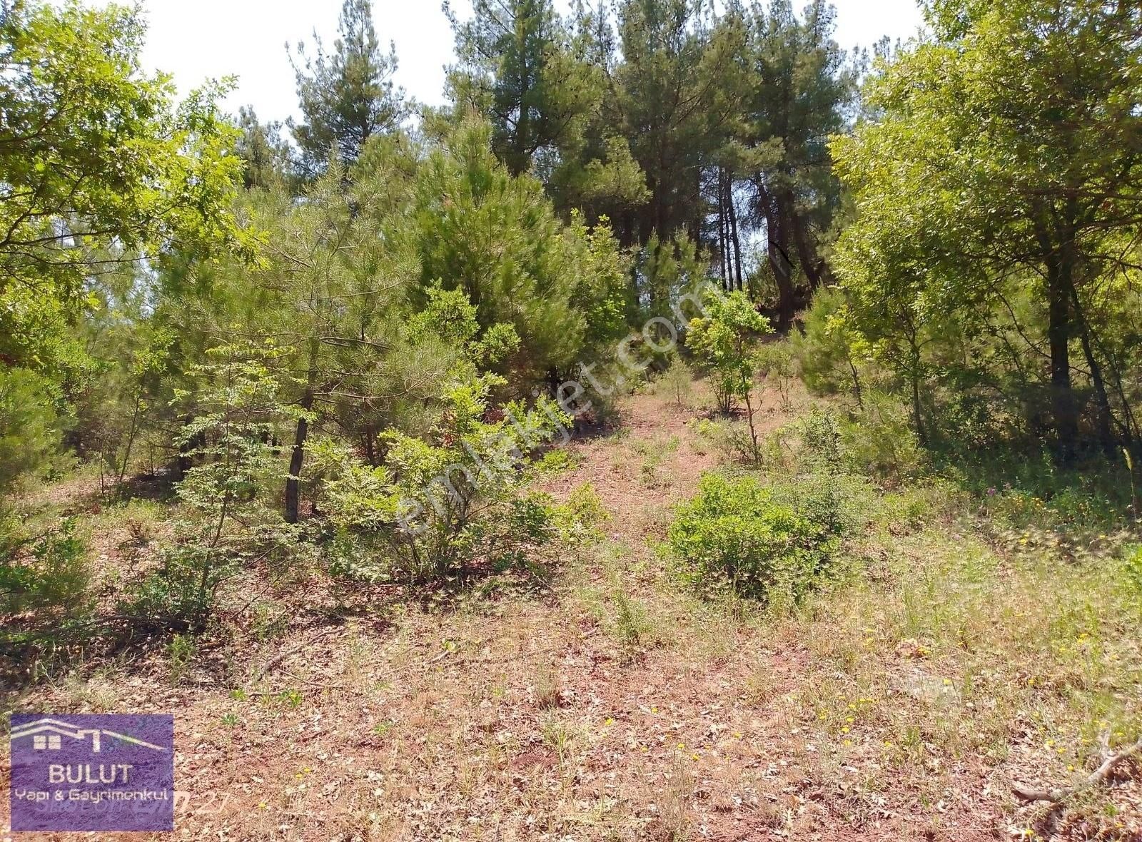 Mustakil Tapu Resmi Yolu Var Yatırım İçin Uygun 3.781 M2