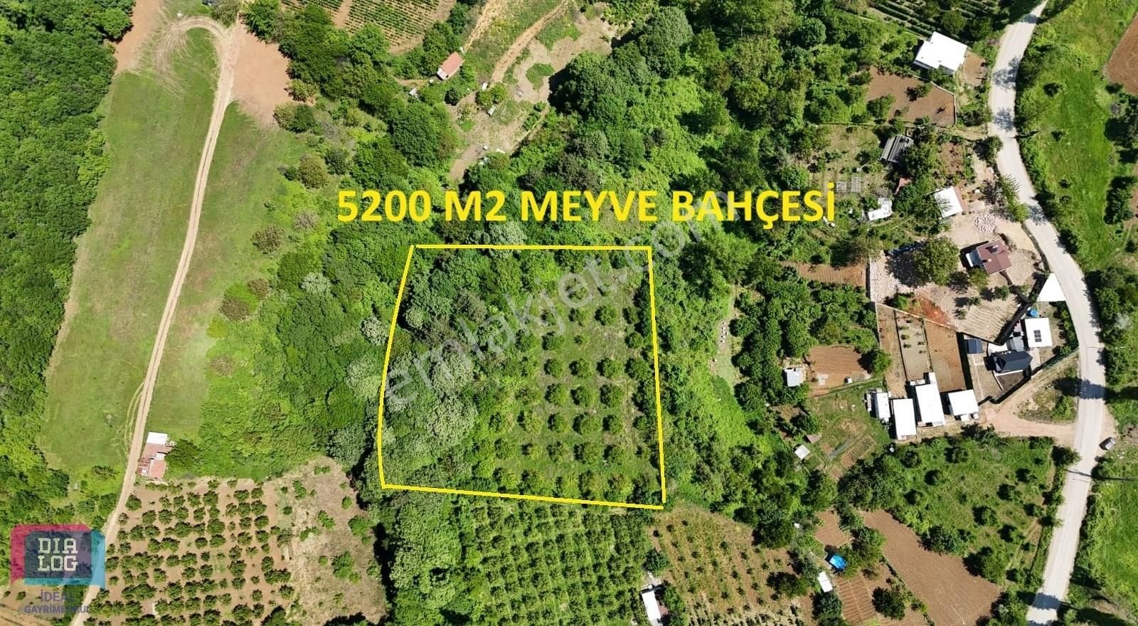 Dialog İdeal'den Kestel Aksu'da Asfalta 1 Parsel 5213 M2 Tarla