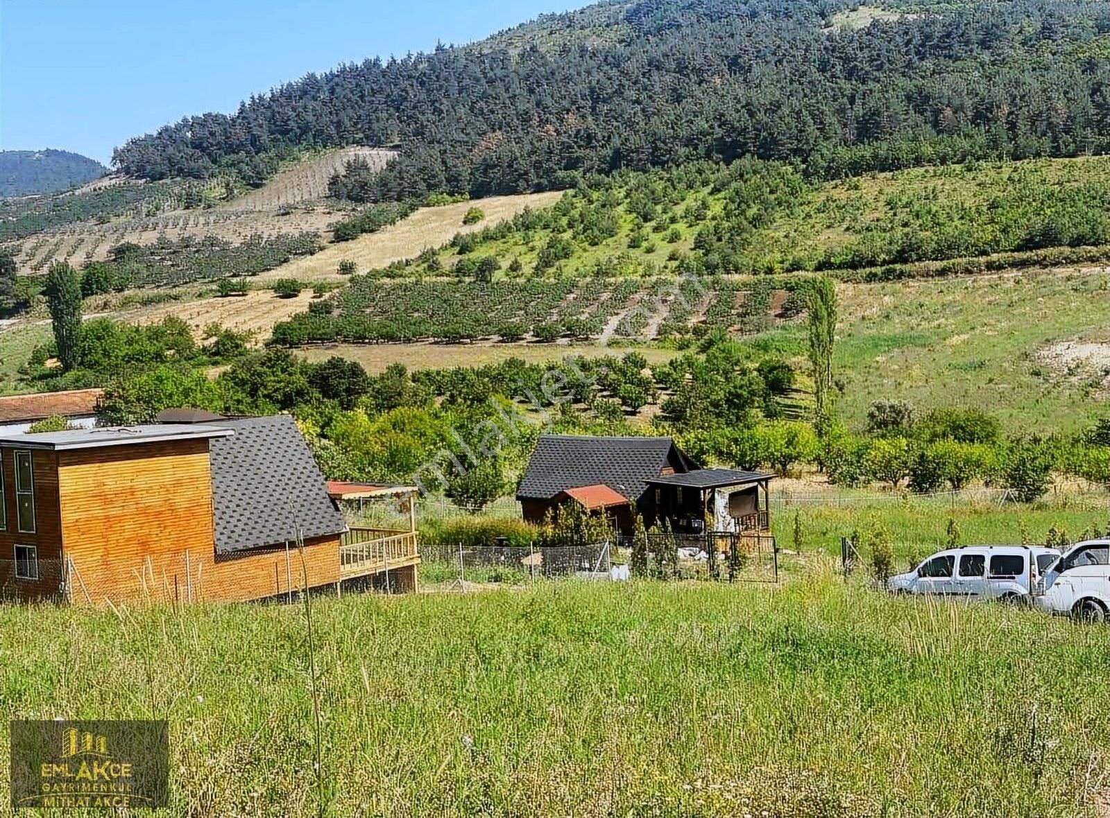 Şok Fiyat Düştü Bursa Osmangazide Bungolov Müstakil Tapulu Arsa - Görsel 4