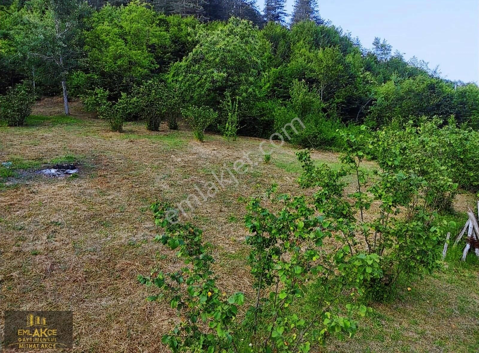 Emlakçe G Y M'den Hendek Karadere Köy İçi Arsamız Satılık Tır - Görsel 9