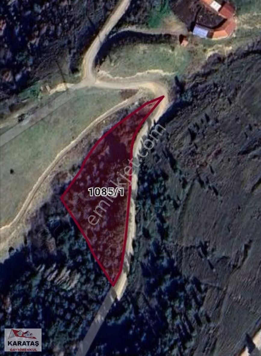 Orhangazi Yeniköyde Yola Cephe Kupon Arazi (acil Satılık)