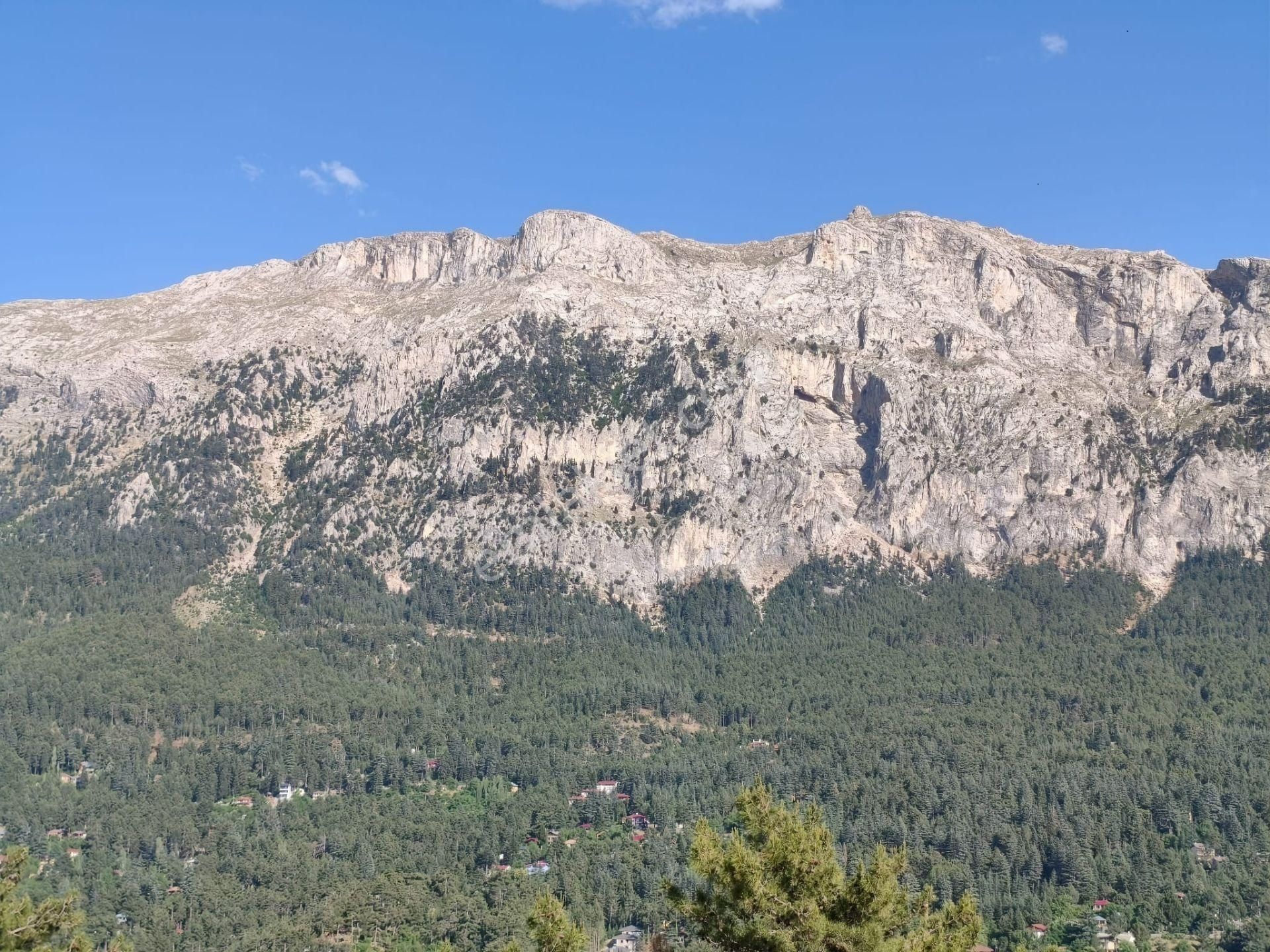 Pozantı Kar Emlaktan Akçatekir Esentepe Mevkiinde Doğa Manzaralı Yaylalık Satılık 440 M2 Arsa - Görsel 16