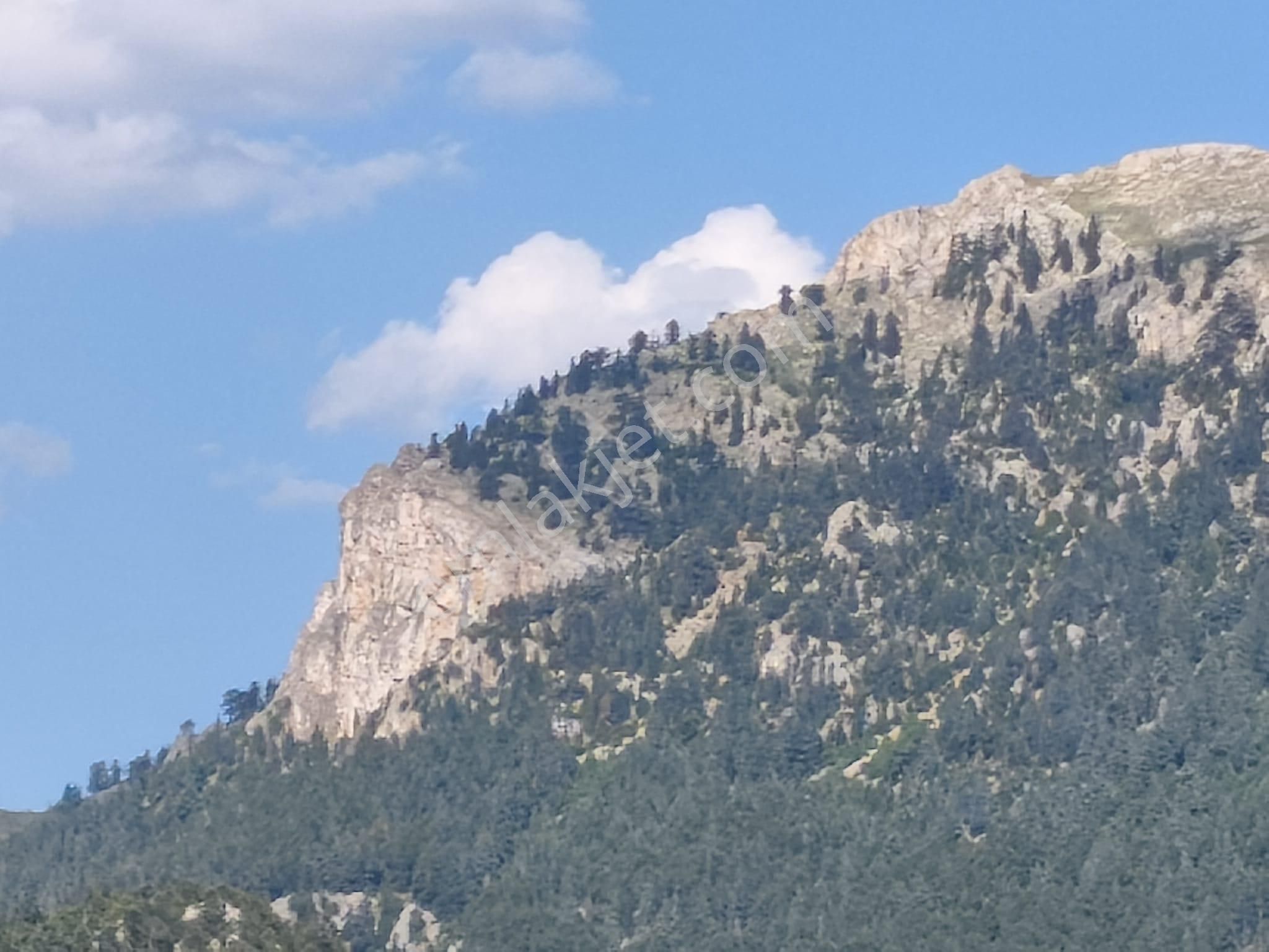 Pozantı Kar Emlaktan Akçatekir Esentepe Mevkiinde Doğa Manzaralı Yaylalık Satılık 440 M2 Arsa - Görsel 7