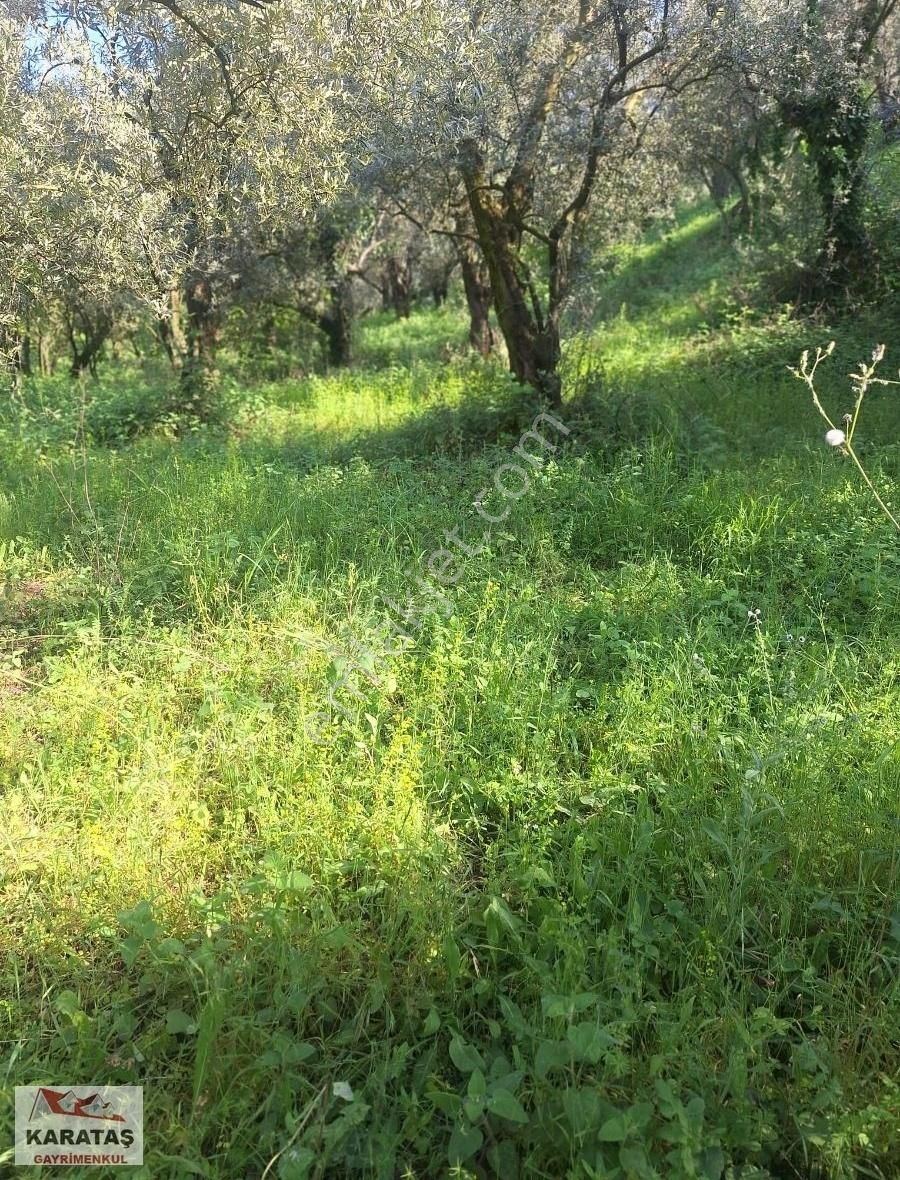 Orhangazi Paşapınar Köyünde Göl Manzaralı Kupon Arazi - Görsel 3