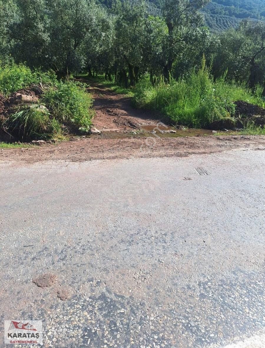 Orhangazi Paşapınar Köyünde Göl Manzaralı Kupon Arazi - Görsel 12