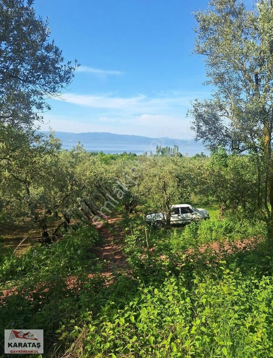 Orhangazi Paşapınar Köyünde Göl Manzaralı Kupon Arazi - Görsel 11