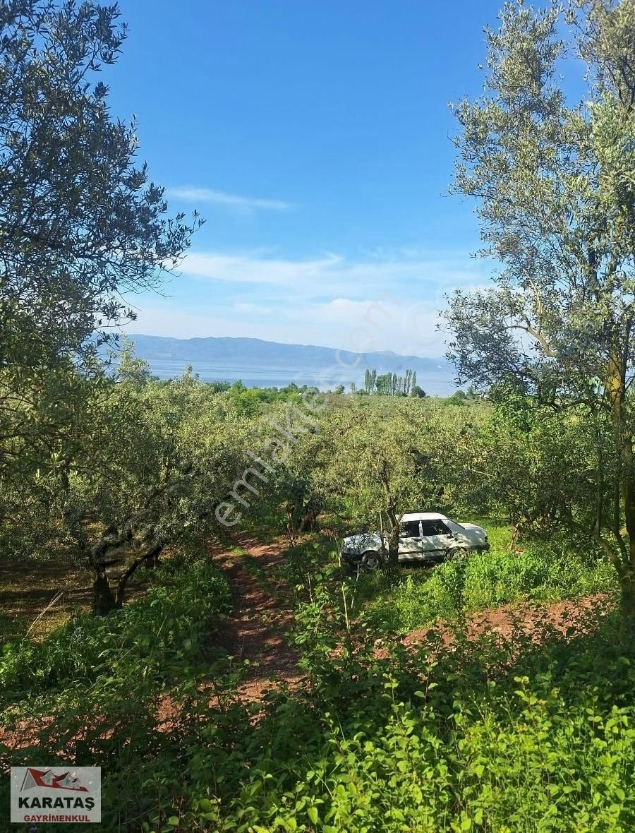 Orhangazi Paşapınar Köyünde Göl Manzaralı Kupon Arazi