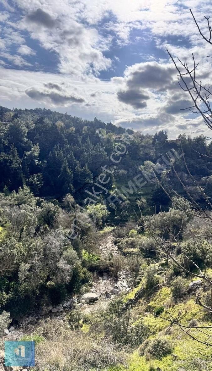 Marmaris Söğüt Köyünde Yerleşim Yeri İçerisinde Satılık Tarla - Görsel 3