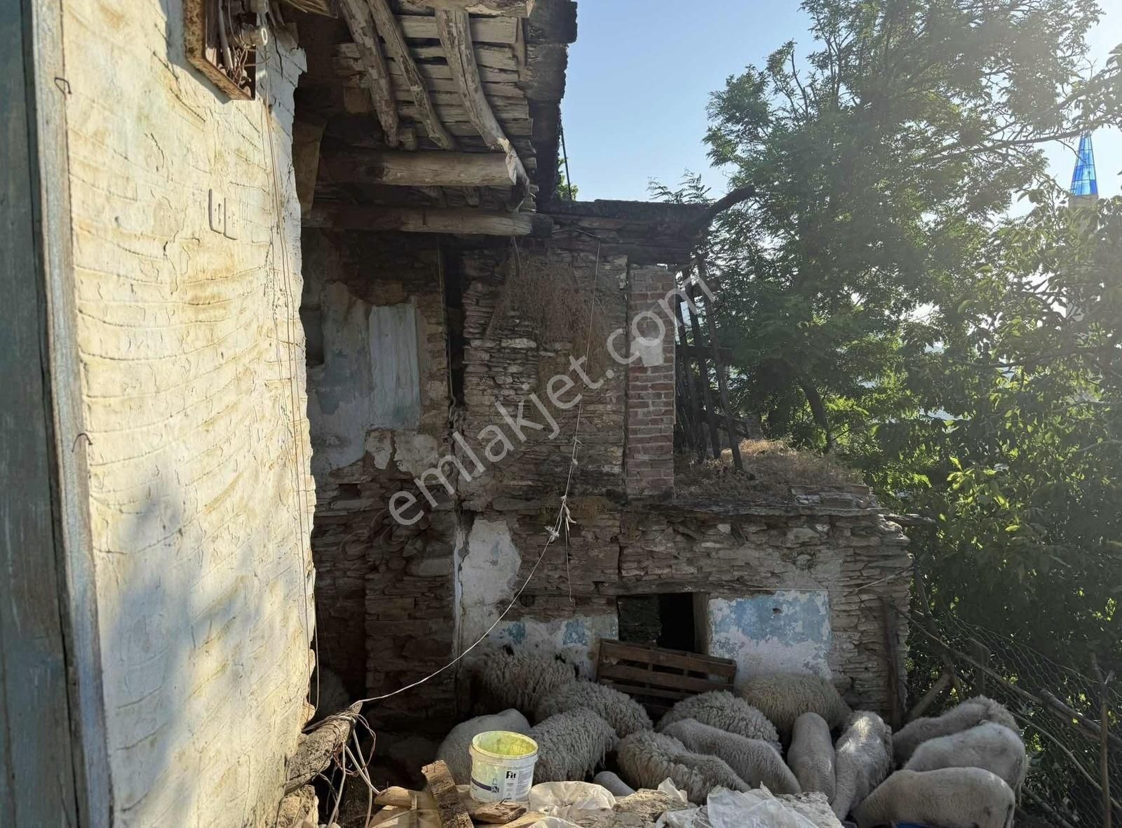 Pek Emlaktan Tire Cambazlıda Köy İçi 320m2 Satılık Bahçeli Taşev - Görsel 17