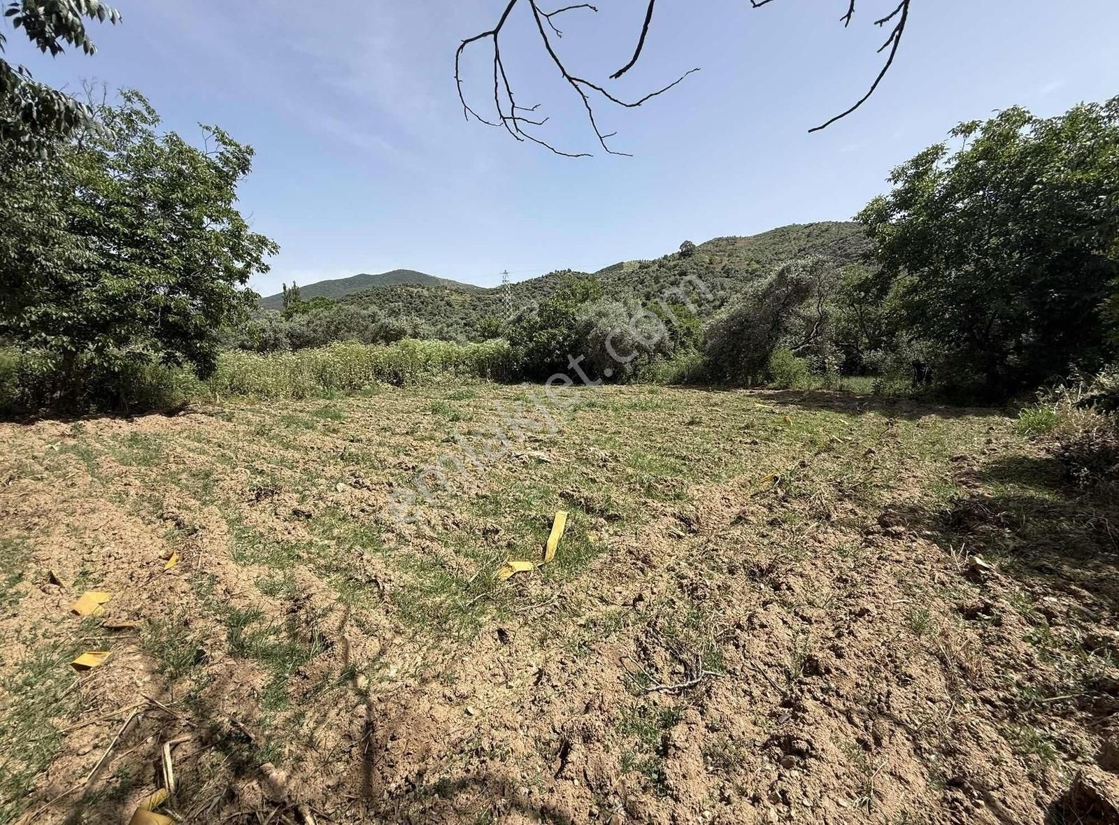 Pek Emlaktan İstediğiniz Hobi Bahçesi Bu İlanda 650 M2 Tek Tapu - Görsel 7