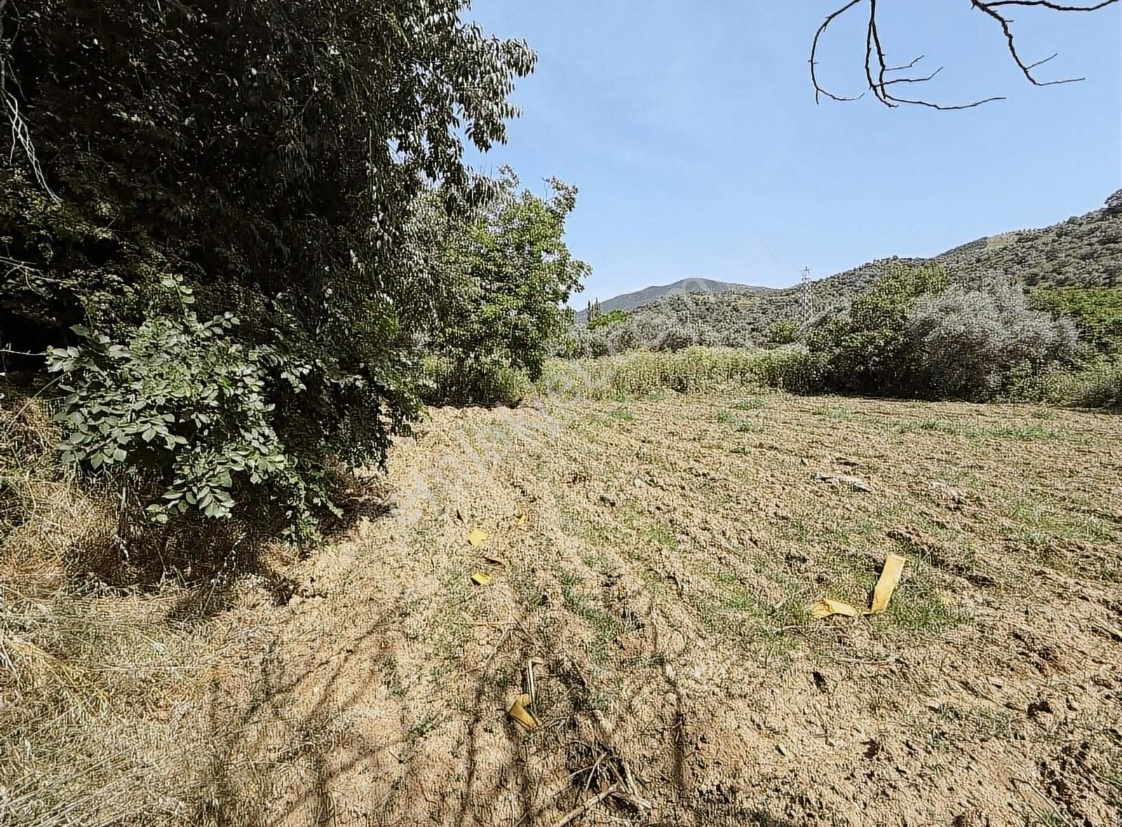 Pek Emlaktan İstediğiniz Hobi Bahçesi Bu İlanda 650 M2 Tek Tapu - Görsel 4