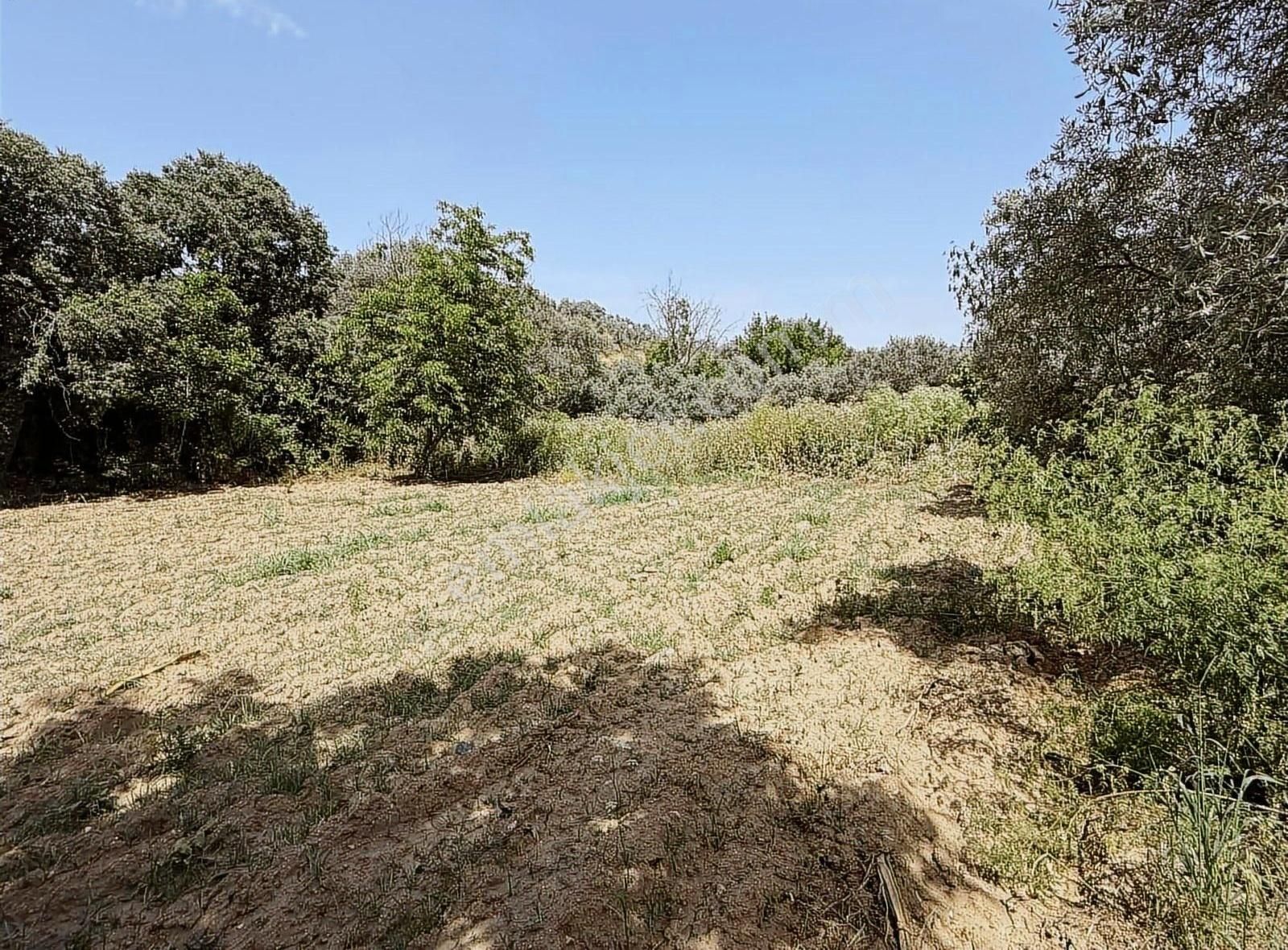 Pek Emlaktan İstediğiniz Hobi Bahçesi Bu İlanda 650 M2 Tek Tapu - Görsel 8