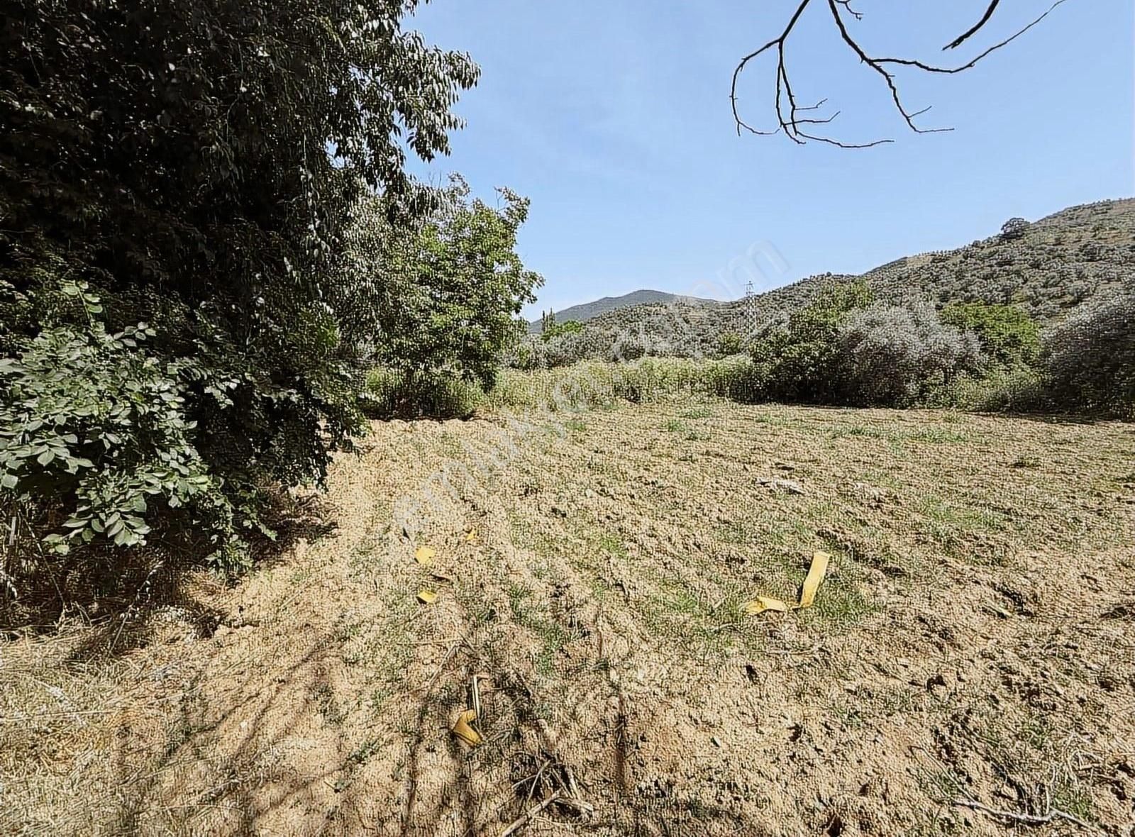 Pek Emlaktan İstediğiniz Hobi Bahçesi Bu İlanda 650 M2 Tek Tapu - Görsel 10