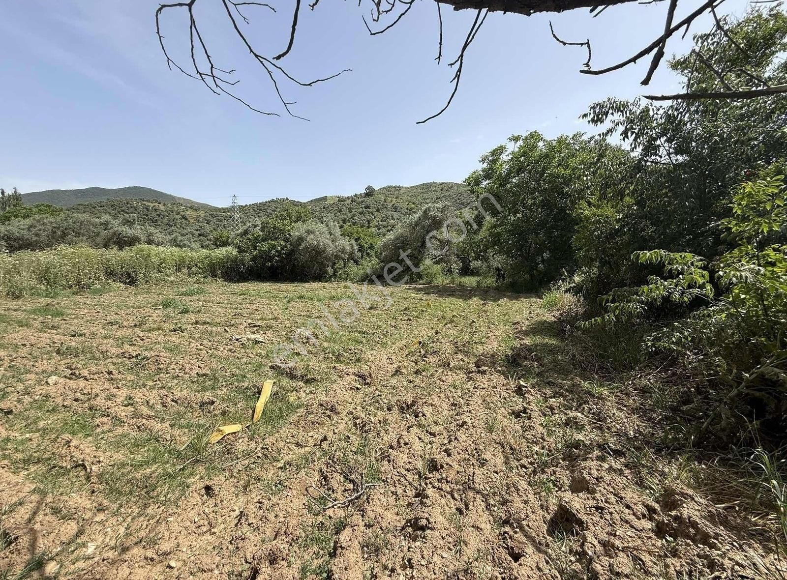 Pek Emlaktan İstediğiniz Hobi Bahçesi Bu İlanda 650 M2 Tek Tapu - Görsel 6