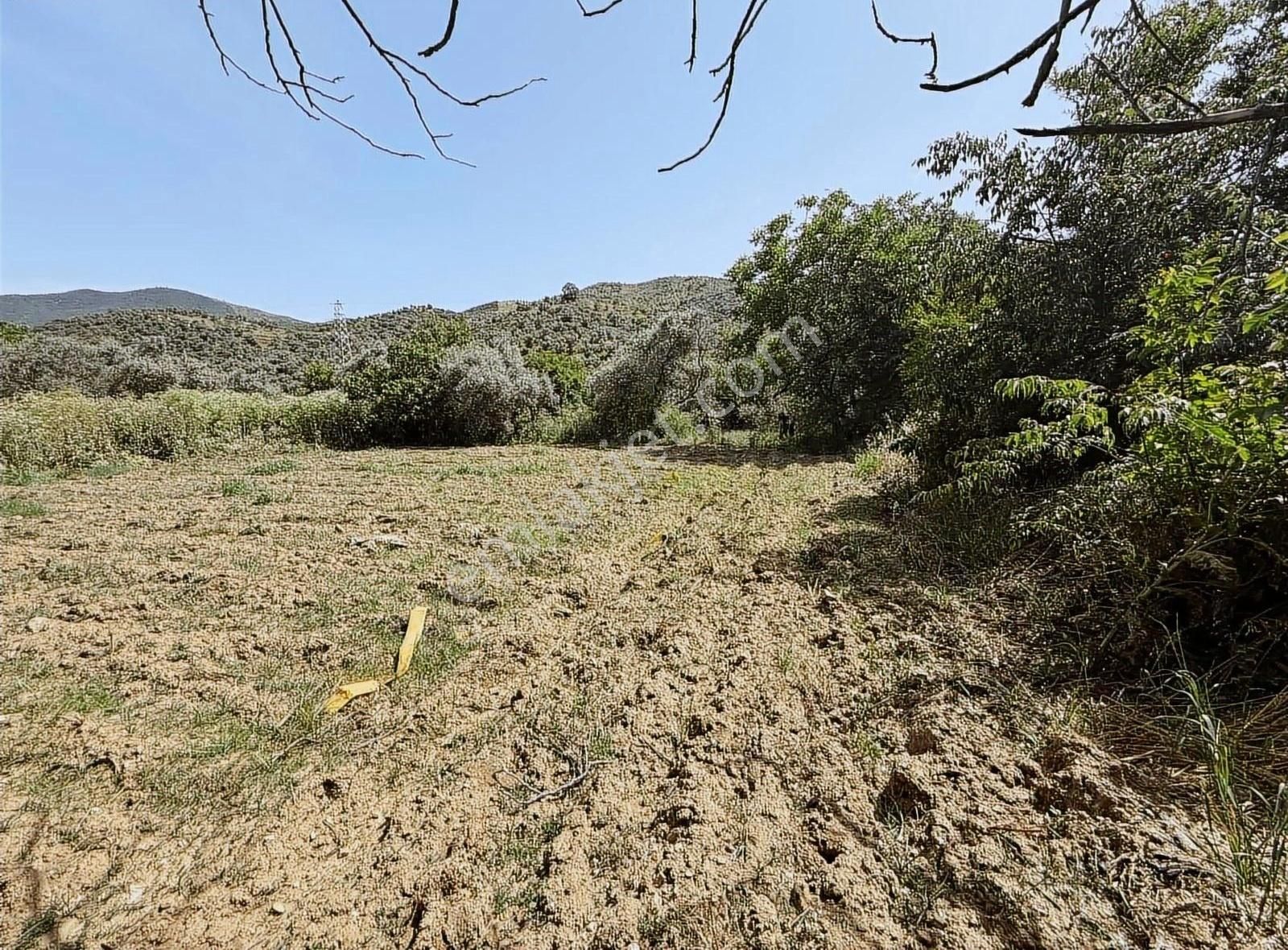 Pek Emlaktan İstediğiniz Hobi Bahçesi Bu İlanda 650 M2 Tek Tapu - Görsel 3